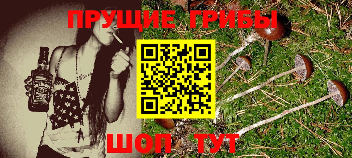 Псилоцибиновые грибы Magic Shrooms Семёнов